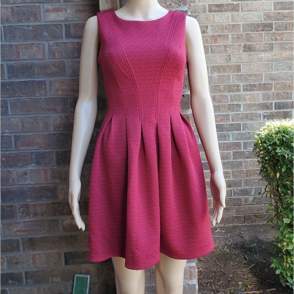 Jodi Kristopher Sleeveless Pleated Flare Dress